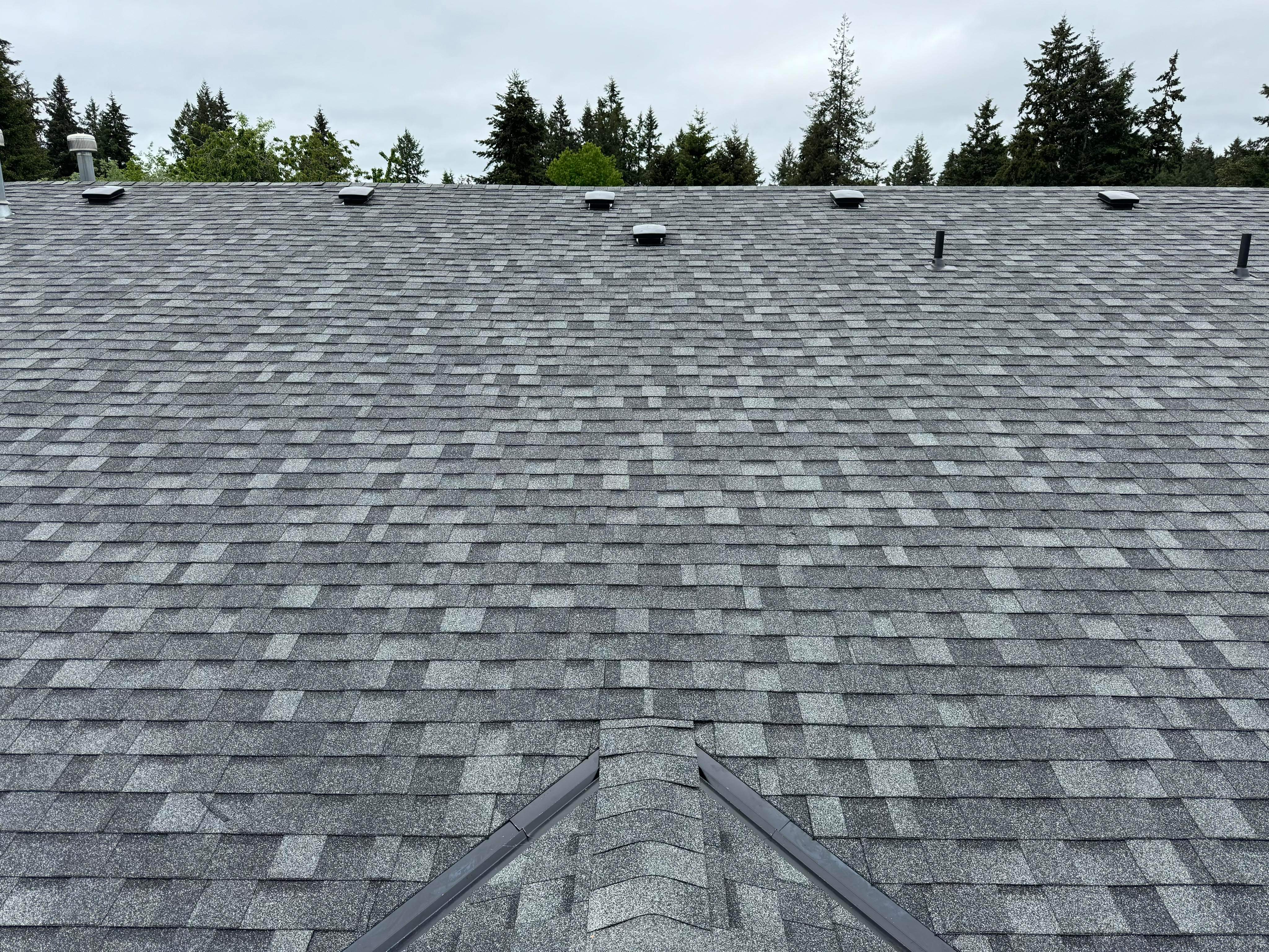 roof-2